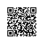 1206J3006P80CQT QRCode