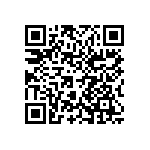 1206Y0251P80BCR QRCode