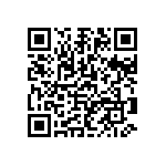 1206Y0506P80DQT QRCode