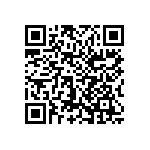1206Y0636P80BQT QRCode