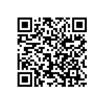 1206Y2000160KQT QRCode