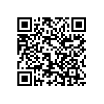 1206Y250P700BQT QRCode