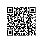 1206Y250P900HQT QRCode