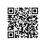 1206Y2K03P90HQT QRCode