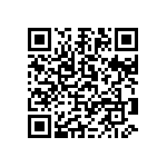 1206Y2K04P30BQT QRCode
