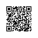 1206Y2K06P80BQT QRCode