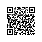 1206Y3000161KQT QRCode