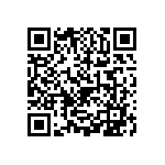 1206Y3000441KQT QRCode