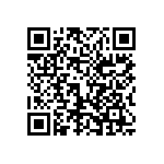 1206Y300P700DQT QRCode