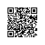 121-13-304-41-001000 QRCode