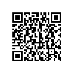 121-13-318-41-001000 QRCode