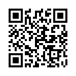 121010100 QRCode