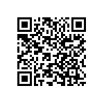 1210J0250105KDR QRCode