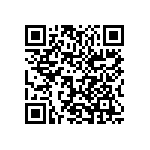 1210J0250122MXT QRCode