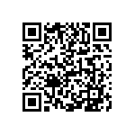 1210J0256P80BCT QRCode