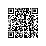 1210J1000273MXR QRCode