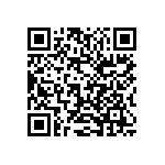 1210J2500333KXT QRCode