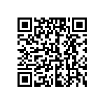 1210J2500333MXR QRCode