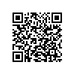 1210Y0160333MXR QRCode