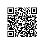 1210Y0250103KXR QRCode