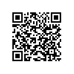 1210Y0500153KXR QRCode