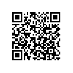 1210Y1000102MXT QRCode