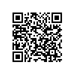 1210Y2500334KXT QRCode