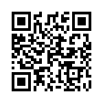 121210100 QRCode