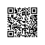 123-87-316-41-001101 QRCode