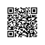 123-87-424-41-001101 QRCode