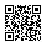 125131011203 QRCode