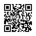 125136311133 QRCode