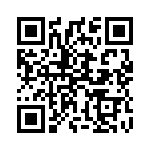 13-38-W QRCode