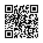 13-38 QRCode