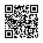 13-38S-W QRCode