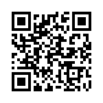 13008-022KESA QRCode