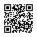 13008-030KESA QRCode