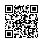 130090 QRCode