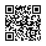 130126 QRCode