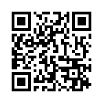 13036X QRCode