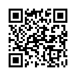 130532 QRCode