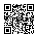 130537 QRCode