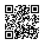 130539 QRCode