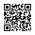 130560 QRCode