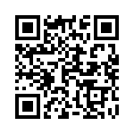 13102010 QRCode