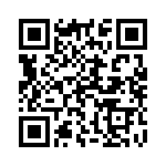 13131025 QRCode