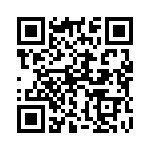 132101 QRCode