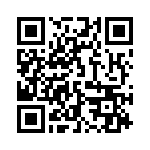 132106 QRCode