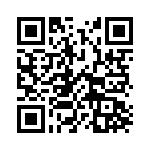 132113RP QRCode