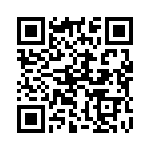 132114 QRCode